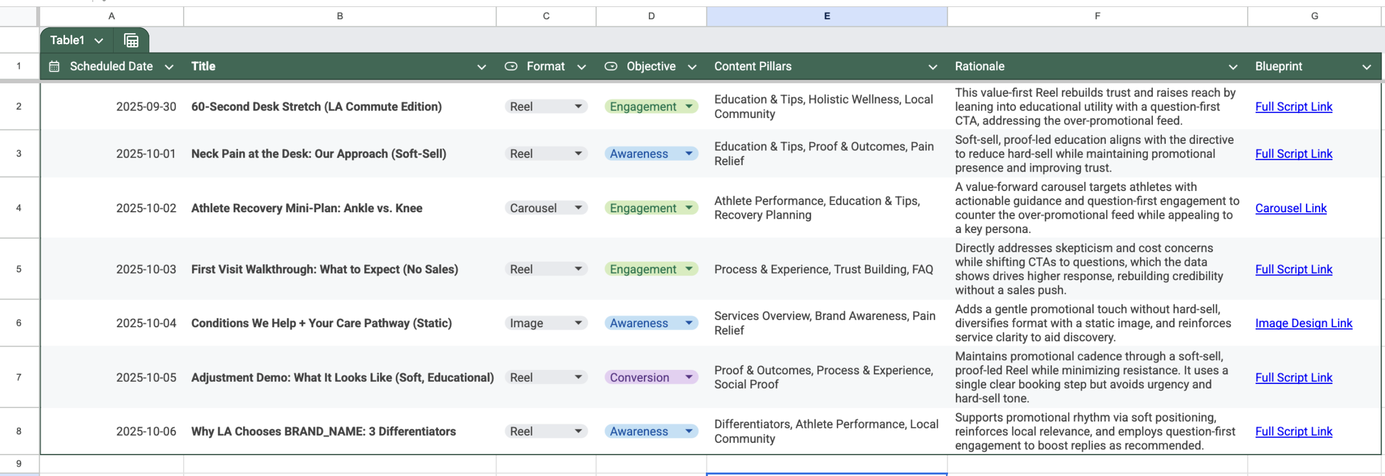 Chiropractor sample plan